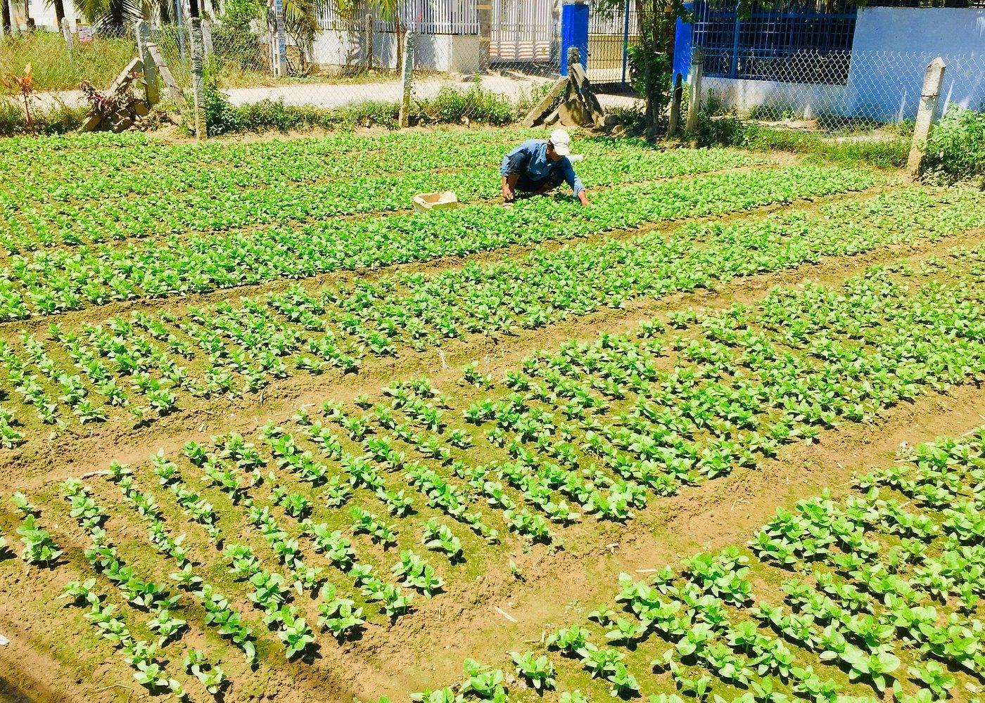 Nha Trang City Half-Day Biking Tour: Explore Hidden Gems & Local Life